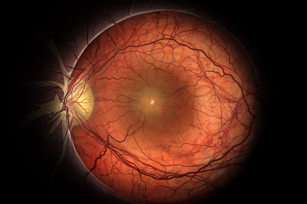 Close-up of a human eye highlighting the macula